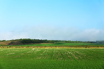 ������԰���