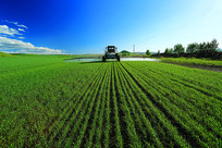 ũ����Ұ����