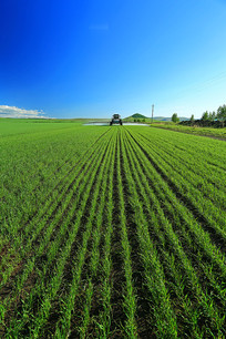 ��Ұ����羰