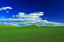 ϣ������Ұ 