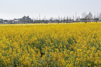 ����˻���