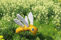 ����С�۷�