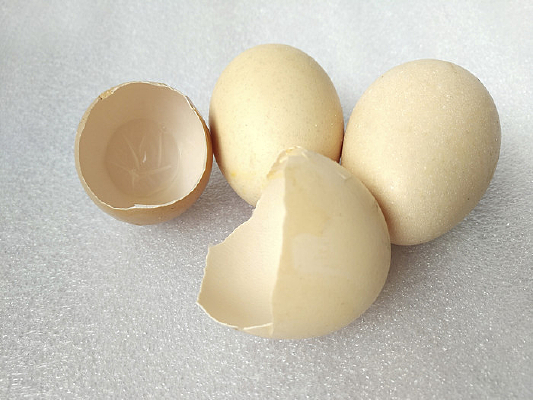 ����������