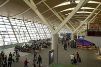 �Ϻ��ֶ�������������