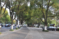 ��԰�ߵĵ�·