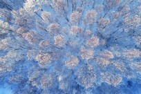 �����ֺ�ѩ��ڡ 