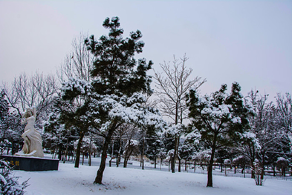 ������ѩ��������ѩ��