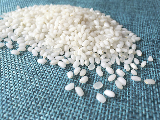 ũ������