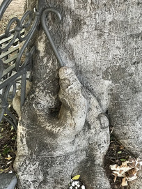 ɡ