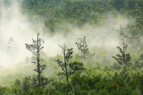 ���˰���ï���ֺ���������