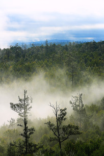 ���˰���ï���ֺ�����