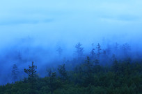 ���˰����λ��ֺ�����