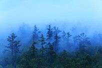 ���˰���ˮīɽ�ַ羰 