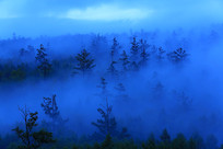 ���˰���ˮīɽ���ƺ�