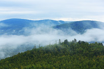 ���˰���ԭʼɭ���������