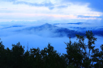 ���˰���ԭʼɭ����������