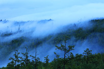 ���˰�������ɽ�־���