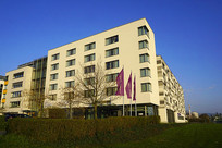 �¹������˸��ı��ݽ��� 