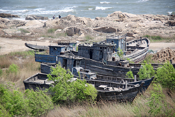 ������ľ�洬