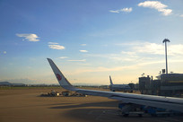 ������ɽ���ʻ��� 