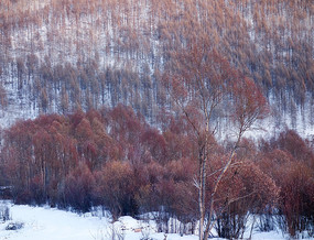 ������·