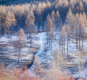 ������ϼ