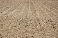 ���ظ���