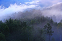 ���˰�������ï���ֺ����� 