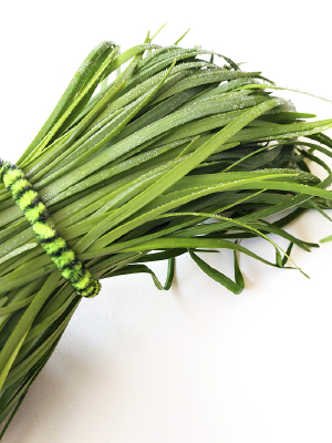 �������ʾ²�