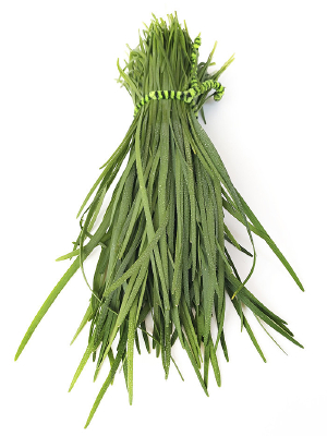 ���ʾ²��ز�