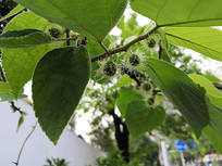 ��������Ĺ�����ʵ����