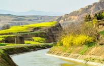 ����ˮ���ߵ��Ͳ˻�