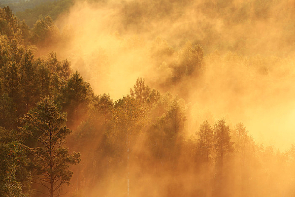 ���˰��볯����������