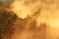 ���˰��볯����������