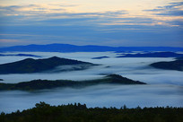 ���˰��볿��Ⱥ���ƺ�