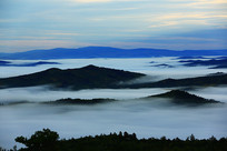 ���˰���Ⱥ���������ƺ�