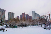 �߲�סլ����Ⱥ����������ѩ��