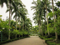 ����Ҭ����