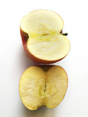 ����ƻ��