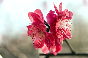 ��д�����