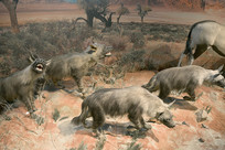 Ұ������걾-���๷