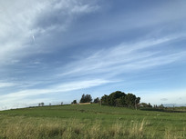 �������ԭ