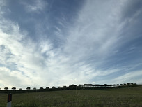 ����������ԭ