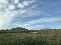 ������������̲�