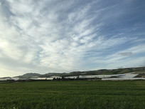 �������ɫ��ԭ