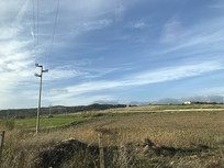 �������ɫԭҰ