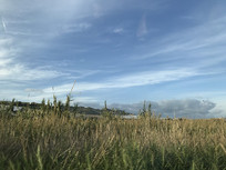 �����ũ����