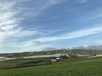 �������Ұ���