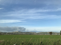 �����Զɽ��Ұ