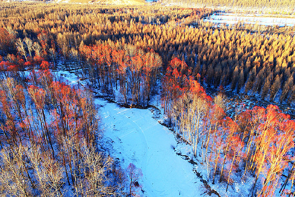 ���˰�����Ӻ������